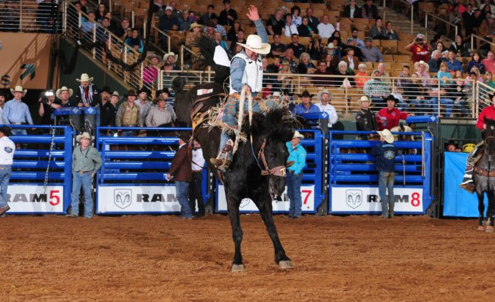 Silverspurs rodeo